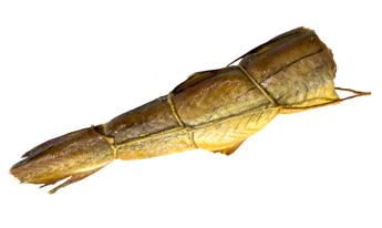 Минтай тушка горячего копчения