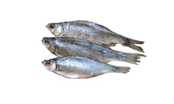 Линь вяленый