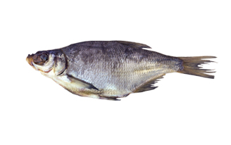 Лещ вяленый