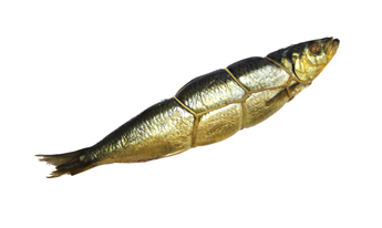 Сельдь атлантическая горячего копчения