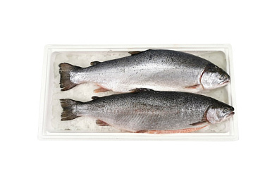 Форель охлажденная