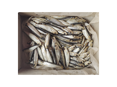 Кілька вэнджаная