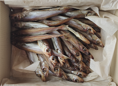 Путасу вэнджаная