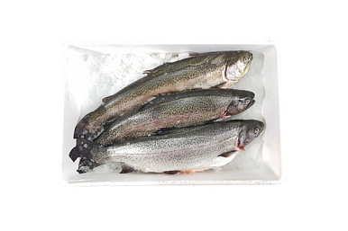 Форель охлажденная