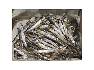 Мойва атлантычная вэнджаная