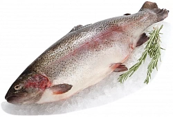 Рыба охлажденная