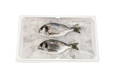 Форель охлажденная